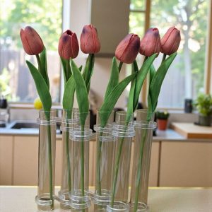 אגרטל מבחנות טוליפים