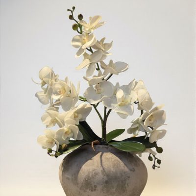 ‎white-orchid-flower-arrangement-gray-vase-elegant-decor.jpg