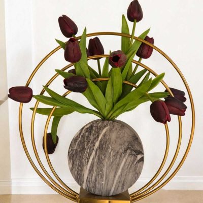 agartal-hishuk-tulipim